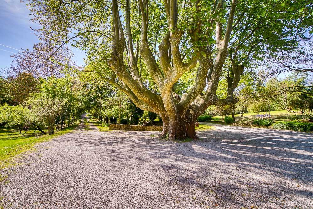 Willa Le Vieux Moulin Forcalquier Zewnętrze zdjęcie
